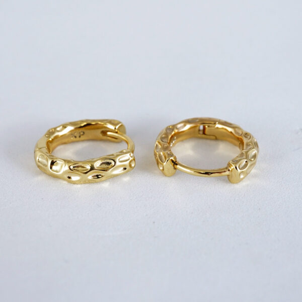 Aretes de Acero Inoxidable Bañados en Oro 14K - EA5118 - Imagen 2