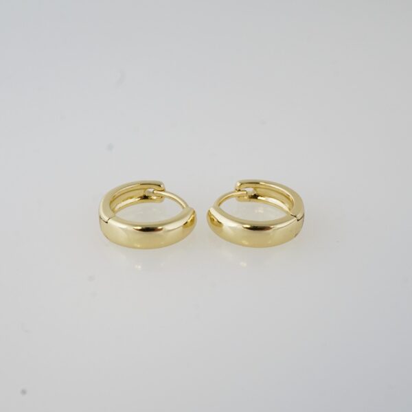 Aretes de Acero Inoxidable Bañados en Oro 14K – EA20501
