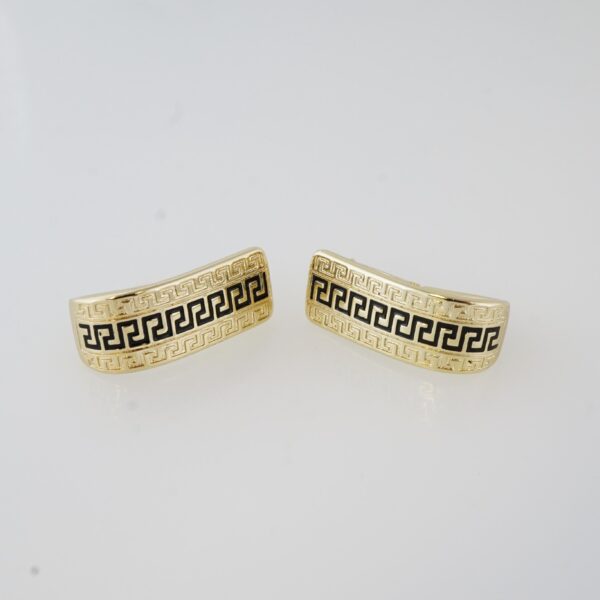 Aretes de Acero Inoxidable Bañados en Oro 14K – EA20011