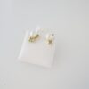 Aretes de Acero Inoxidable Bañados en Oro 14K – EA20301