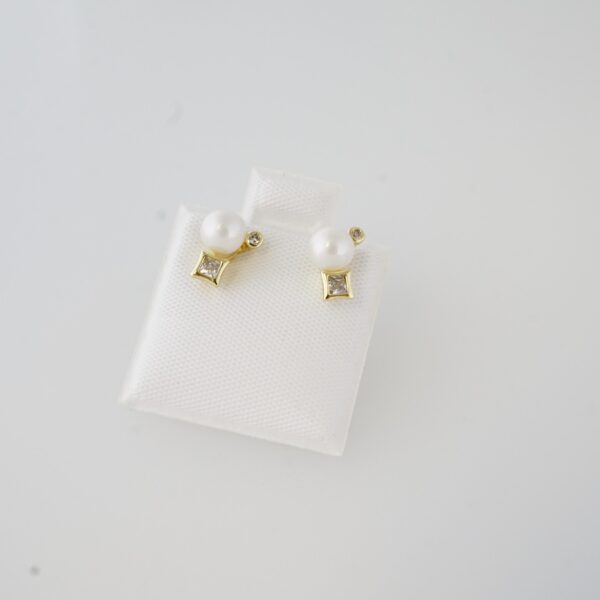 Aretes de Acero Inoxidable Bañados en Oro 14K – EA20301