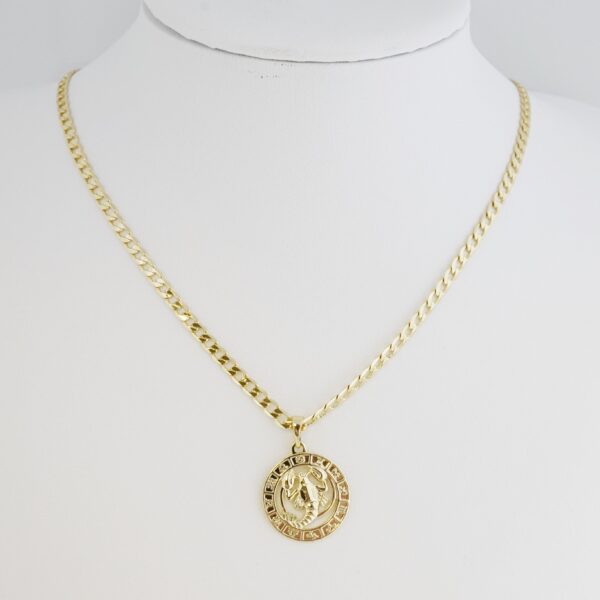 Cadena de Acero Inoxidable Bañada en Oro 14K – CH1446