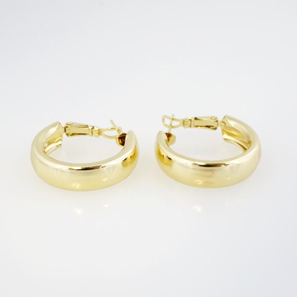 Aretes de Acero Inoxidable Bañados en Oro 14K – EA20355