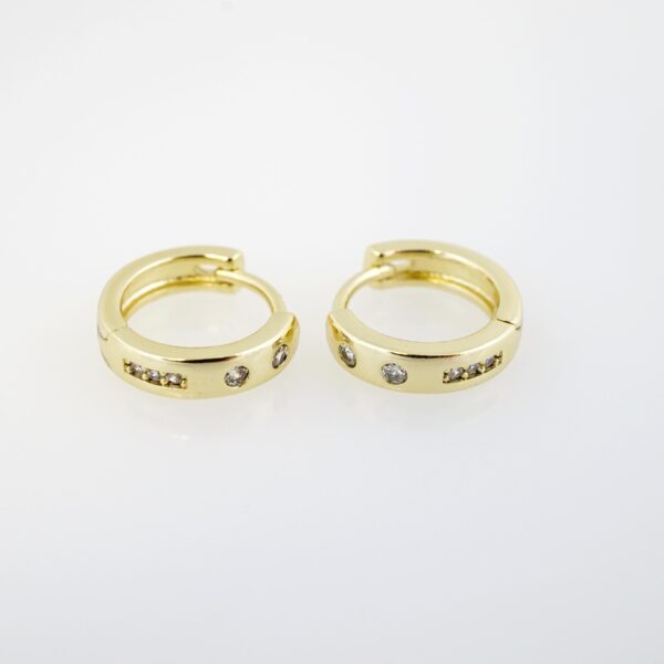 Aretes de Acero Inoxidable Bañados en Oro 14K – EA20351