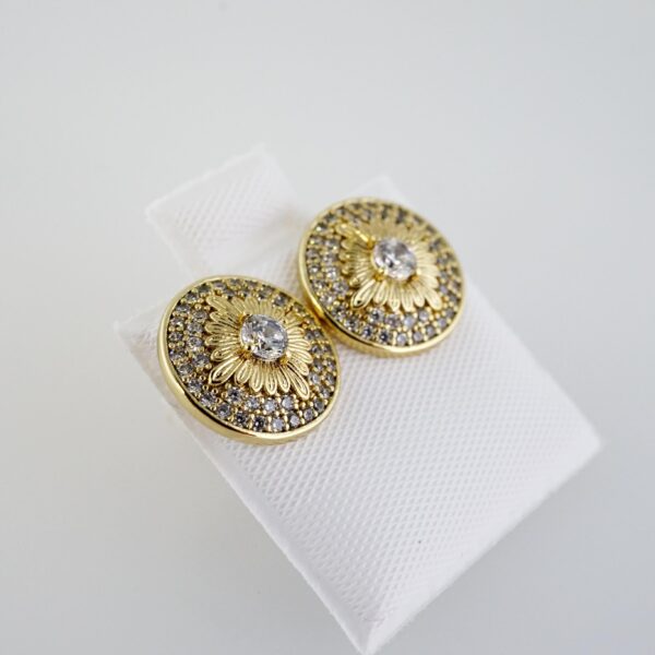 Aretes de Acero Inoxidable Bañados en Oro 14K – AL-EA0096