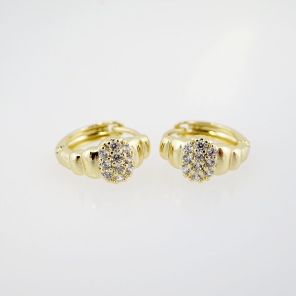 Aretes de Acero Inoxidable Bañados en Oro 14K – AL-EA0082.E