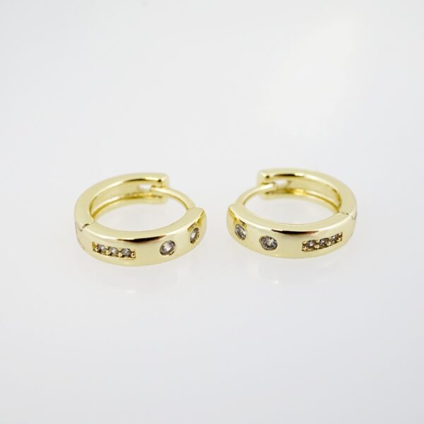 Aretes de Acero Inoxidable Bañados en Oro 14K – AL-EA0086.E