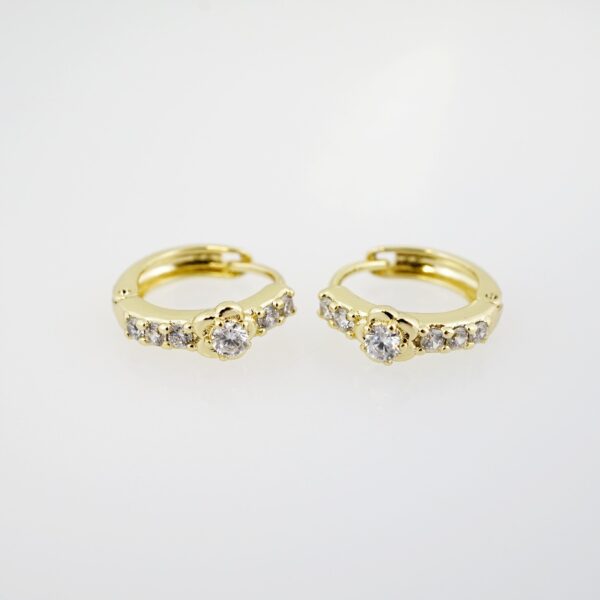 Aretes de Acero Inoxidable Bañados en Oro 14K – AL-EA0091.E