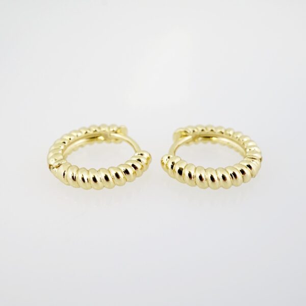 Aretes de Acero Inoxidable Bañados en Oro 14K – AL-EA0094.E