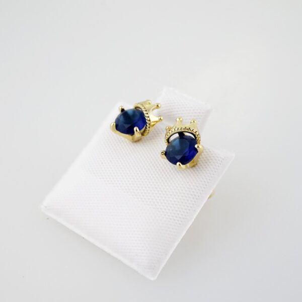 Arete de Acero Bañado en Oro 14k - EA001