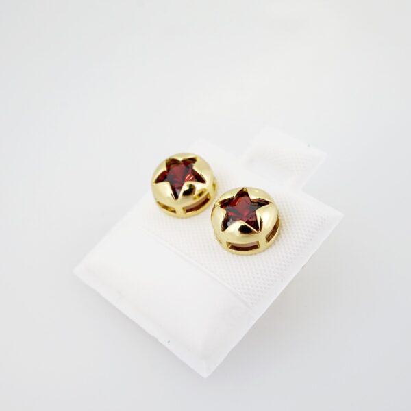 Arete de Acero Bañado en Oro 14k - EA0042