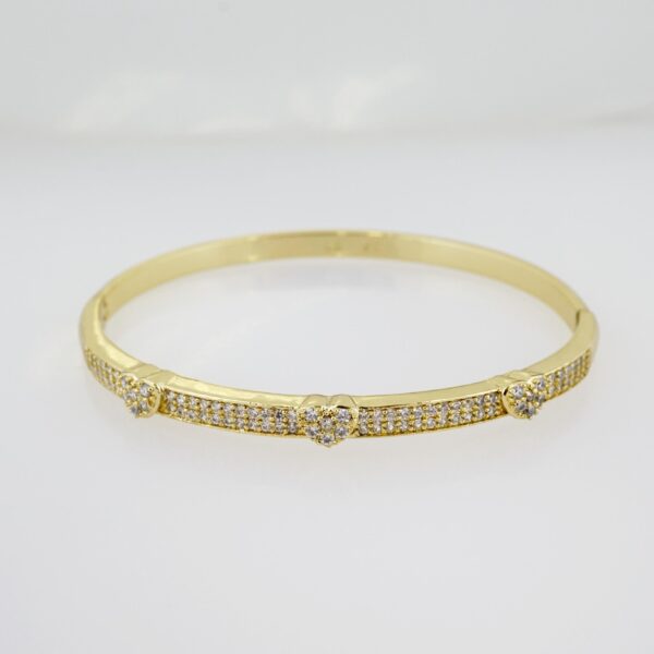 Pulso de Acero Bañado en Oro 14k - BA014
