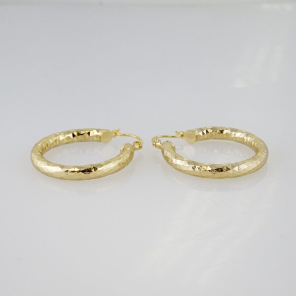 Arete de Acero Bañado en Oro 14k - EA074