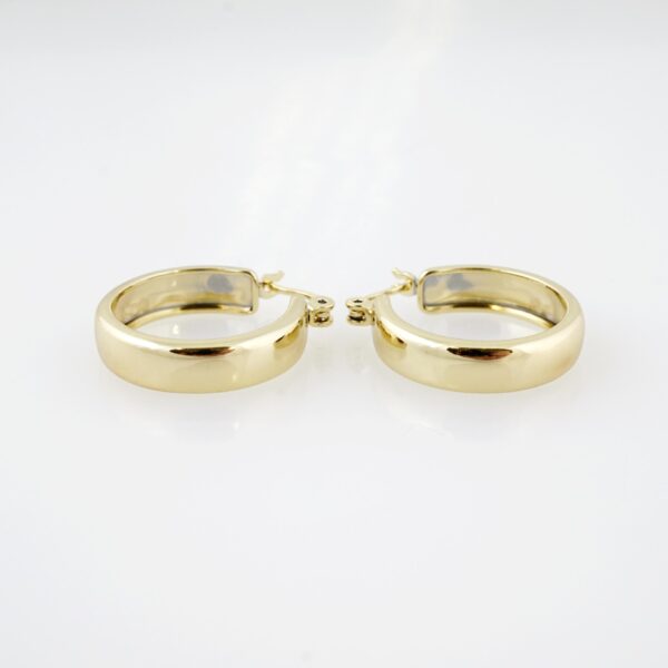 Arete de Acero Bañado en Oro 14k - EA146