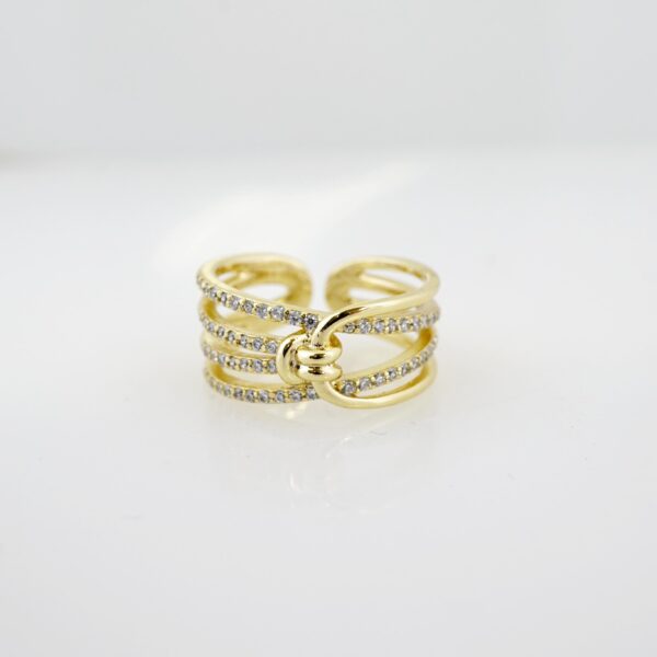 Anillo de Acero Inoxidable Bañado en Oro 14k - RG036 - Imagen 2