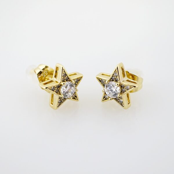 Arete de Acero Bañado en Oro 14k - EA293