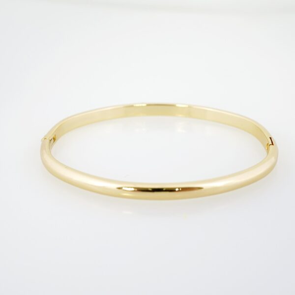 Pulso de Acero Bañado en Oro 14k - BA057