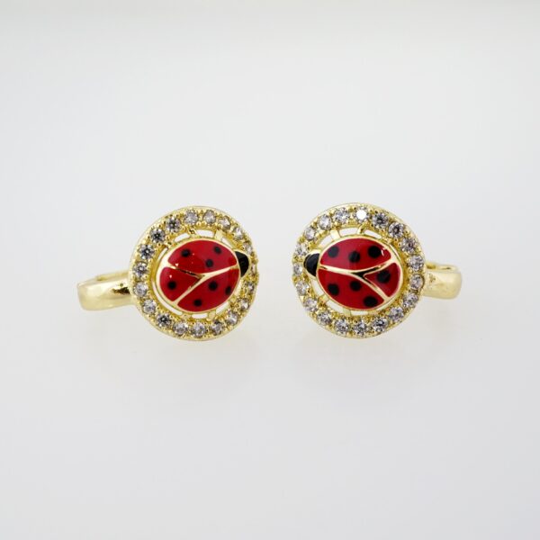 Arete de Acero Bañado en Oro 14k - EA432
