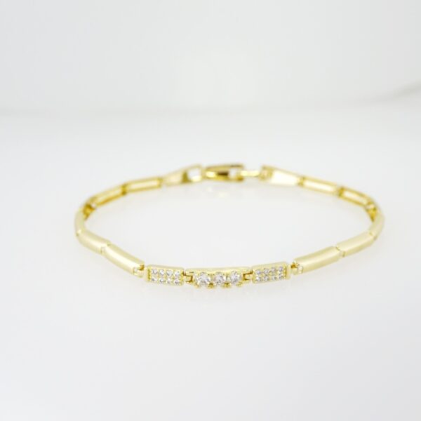 Brazalete de Acero Bañado en Oro 14k - BR069