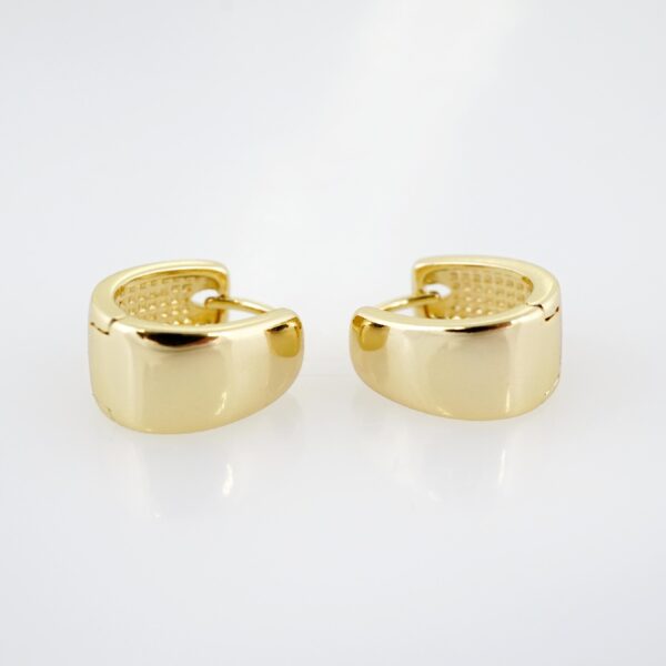 Arete de Acero Bañado en Oro 14k - EA291