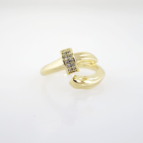Anillo de Acero Inoxidable Bañado en Oro 14k - RG032