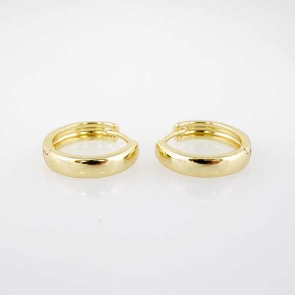 Arete de Acero Bañado en Oro 14k - EA248