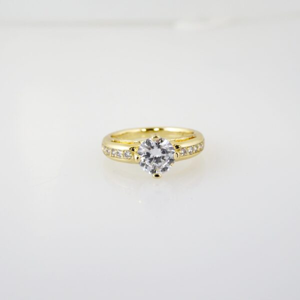 Anillo de Acero Inoxidable Bañado en Oro 14k - RG044