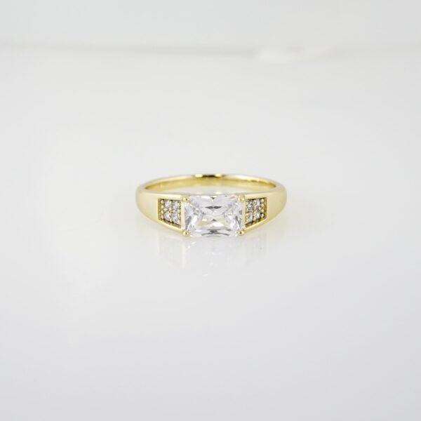 Anillo de Acero Inoxidable Bañado en Oro 14k - RG041