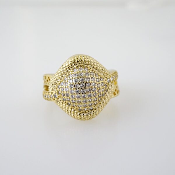 Anillo de Acero Inoxidable Bañado en Oro 14k - RG042