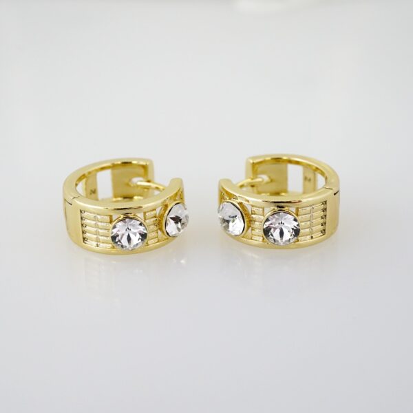 Arete de Acero Bañado en Oro 14k - EA375