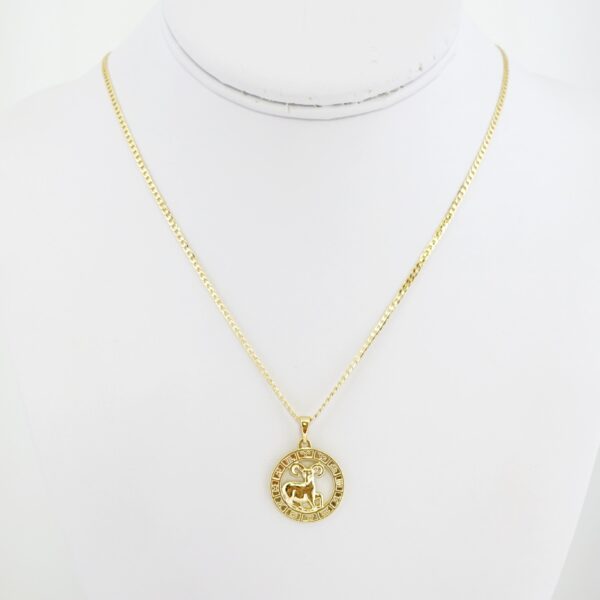 Cadena de Acero Bañada en Oro 14k – CH0174