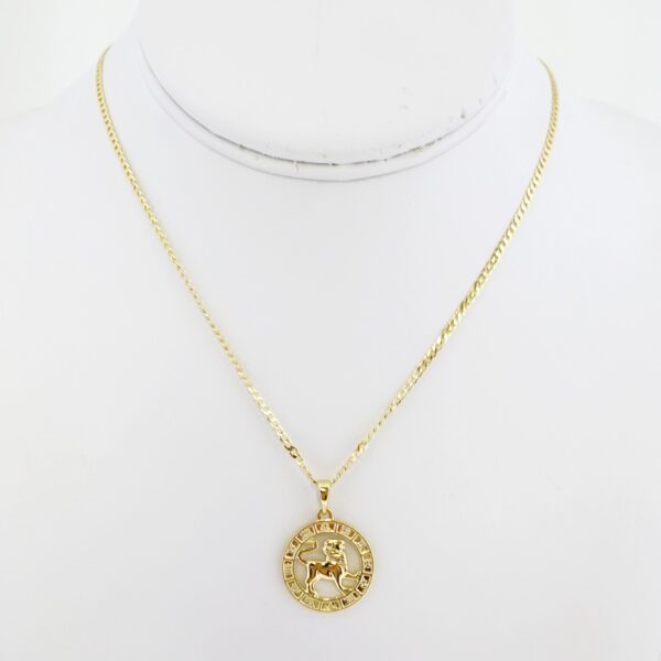 Cadena de Acero Bañada en Oro 14k – CH0175