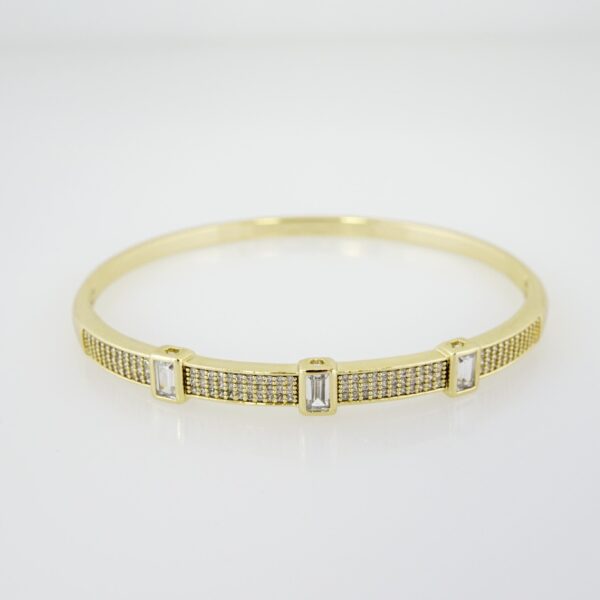 Pulso de Acero Bañado en Oro 14k - BA088