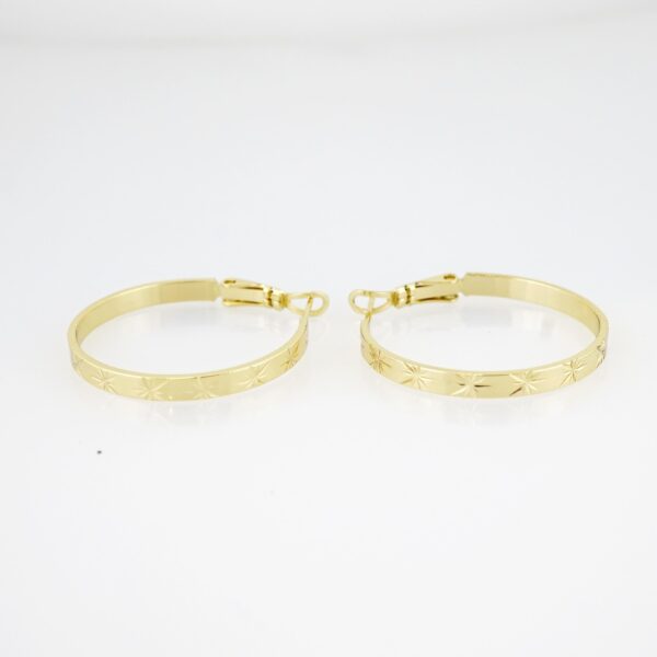 Aretes de Acero Bañado en Oro 14k - EA545