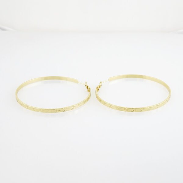 Aretes de Acero Bañado en Oro 14k - EA552