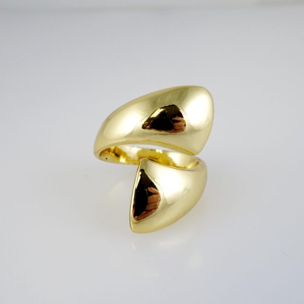 Anillo de Acero Inoxidable Bañado en Oro 14k - RG0070