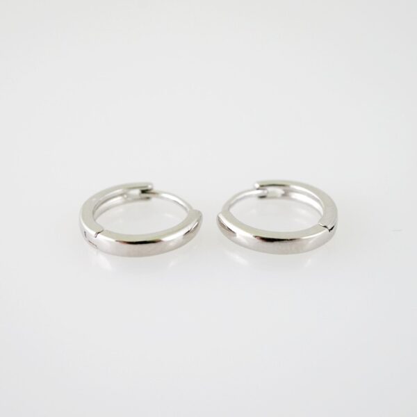 E2164 Earrings - Aretes - Plain - Silver Color