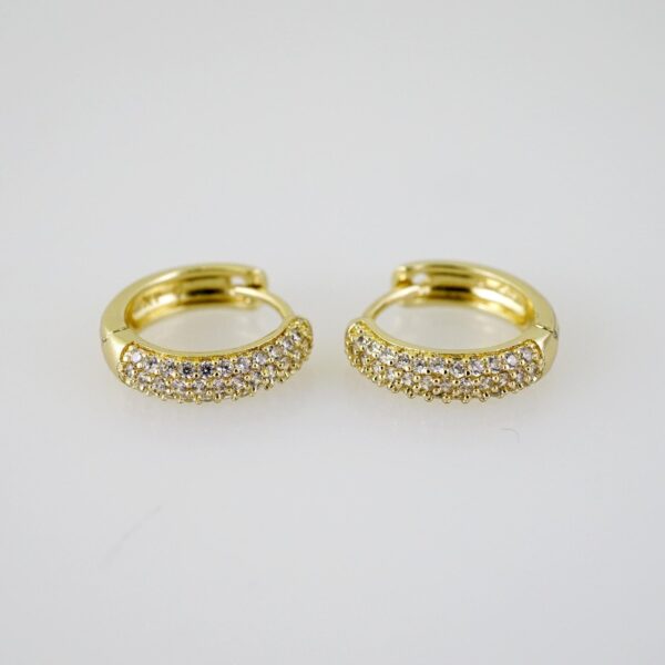 E2711 Earrings - Aretes - Zircon Stone - 14K Real Color