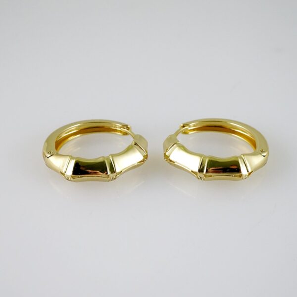 E2384 Earrings - Aretes - Zircon Stone - 14K Real Color
