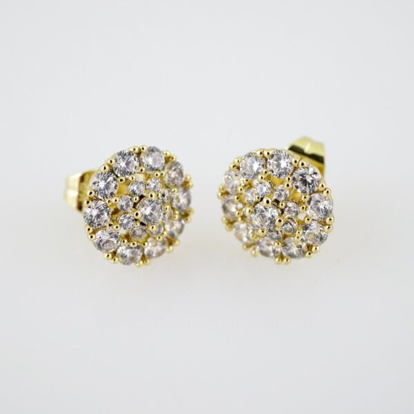 E2004 Earrings - Aretes - Zircon Stone - 14K Real Color
