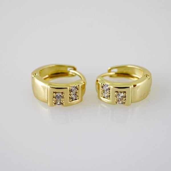 E2445 Earrings - Aretes - Zircon Stone - 14K Real Color