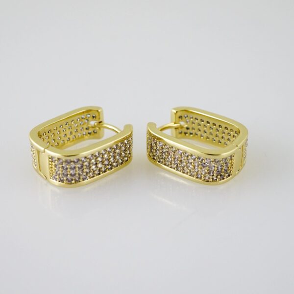 E2450 Earrings - Aretes - Zircon Stone - 14K Real Color