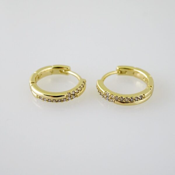 E2454 Earrings - Aretes - Zircon Stone - 14K Real Color