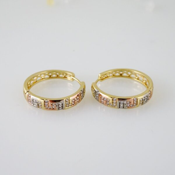 E2463 Earrings - Aretes - Three Tone -  Zircon Stone