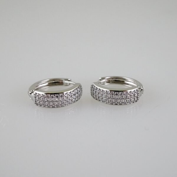 E2509 Earrings - Aretes - Zircon Stone - Silver Color