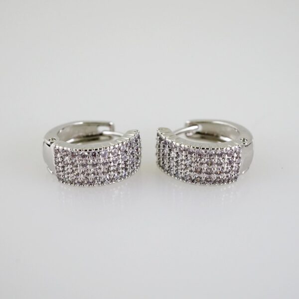 E2529 Earrings - Aretes - Zircon Stone - Silver Color