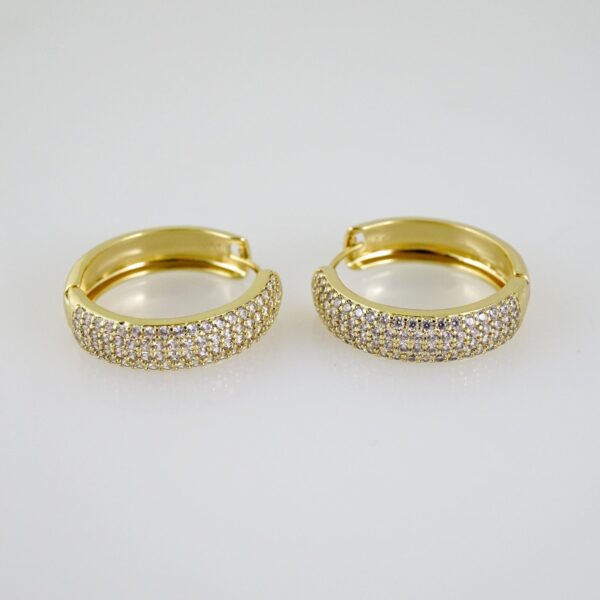 E2537 Earrings - Aretes - Zircon Stone - 14K Real Color