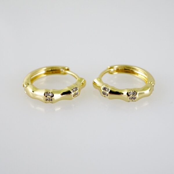 E2540 Earrings - Aretes - Zircon Stone - 14K Real Color