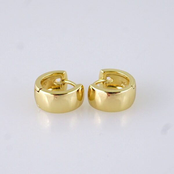 Women Earrings/ Aretes Dama/ Plain/ 14K Real Color/ Stainless Steel// E1713