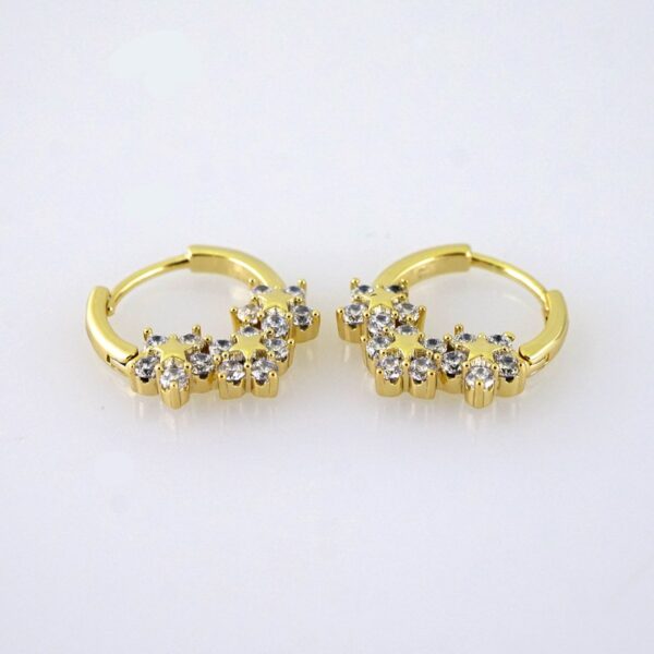 E1826 Women's Earrings - Aretes Dama - Zircon Stone/14k Real Color/